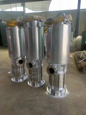 BQS不锈钢双电压隔爆排沙泵